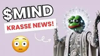 MIND OF PEPE - KRASSE NEWS😳🐸