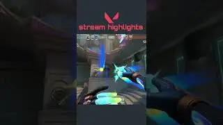 highlights 