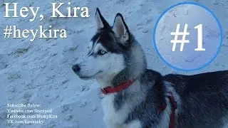 Hey, Kira #1