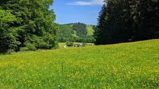 Haindorfer Berg [1123m]