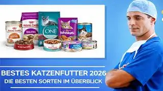 🚑 Bestes Katzenfutter 2024 – Hochwertiges Katzenfutter lohnt sich