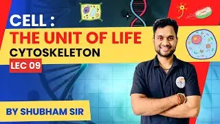 Cytoskeleton: The Cellular Scaffold