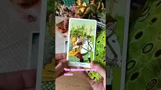Что принесет летний сезон
