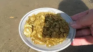 Gold, this was found on the beach! Neighbors could not believe in it. You must see this