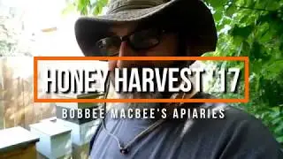 Honey Harvest 2017 - Over 100 Pounds!