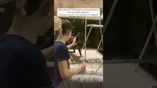 Ребенок играет с бультерьером # #dog #dogs #дрессировка #кинолог #собака #children