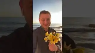 Happy 8th March