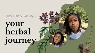 tips for beginner herbalists