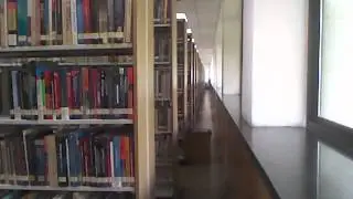 rgb  video of sequence Shelves
