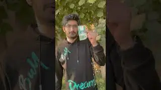 Money growing on trees Video Effect