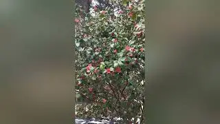 #СОЧИ 2024 КРАСОТА МАРТА