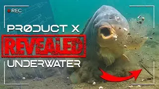 Product X Revealed Underwater | The Magic Twig | Carp Fishing | Ali Hamidi | One More Cast