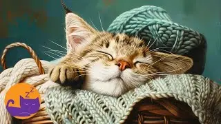 EXTREMELY RELAXING Music for Cats - Sleep + Separation Anxiety Relief