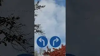 ЖУРАВЛИ ЛЕТЯТ НАЛЕВО 😆