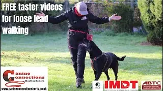 FREE Lead walking taster videos