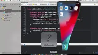 How To Use UIButtons and IBAction ?
