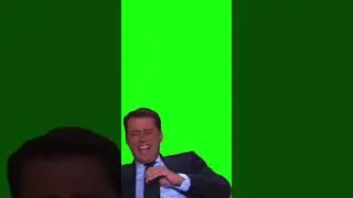 Green Screen Look at that cat video overlay 