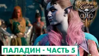 Прохождение Baldur's Gate 3 за ПАЛАДИНА часть 5