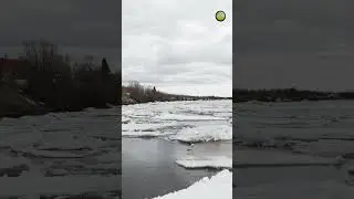Ледоход в Красноселькупе  #красноселькупскийрайон #Красноселькуп