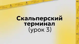 Обучение трейдингу | Настройка скальперского терминала | Урок 3 (запись курса)