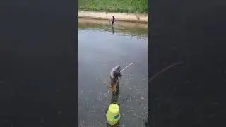VID 20180612 WA0008