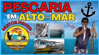 PESCARIA EM ALTO MAR  20KM DA TERRA, saindo do portinho PG, saiu bastante peixes.#pescanoaltomar