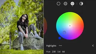 Lime Green And Silver Tone Lightroom Photo Editing | How To Edit Raw Picture In Lightroom | Lr Edit