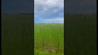 28 июня 2024 г.