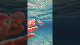 Combattiamo la Plastica nel Mare #plasticainmare #mare #plastica