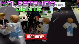 MOLESTANDO A GENTE CON EL CARRITO 🛒 BROOKHAVEN RP ROBLOX 😆