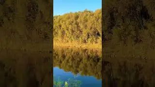 #окунево #природа #путешествия #nature #омск #travel #outdoors #siberia