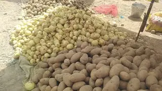 QIZIRIQ JAHON BOZORI OZIQ OVQAT NARHLARI КИЗИРИК БОЗОРИ ОЗИК ОВКАТ НАРХЛАРИ 