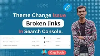 Theme Change Issue | Broken links In Search Console