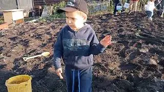 Май. Пора сажать картошку. А у нас гости со Стерлитамака. Дети.  Сажаем картошку с помощниками.