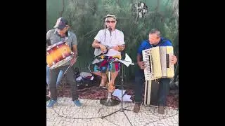 A BURRAXUDA NA PISCINA