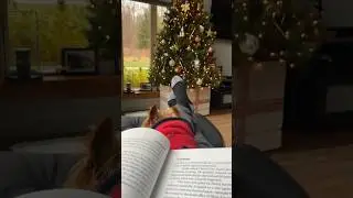 View while reading the Berglas Magic book. #magic #yorkie #books #christmas