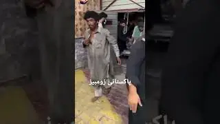 Pakistani Zombies