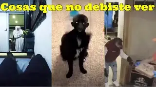 Cosas que los humanos nunca debieron ver  ☠️ Parte 110