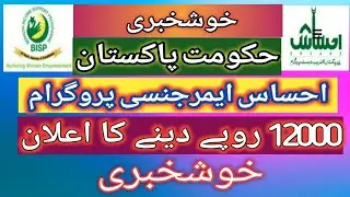 Ehsas Kafalat Program Registration | Ehsas Emergency Service