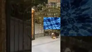 Переобулся 😁😂 #laugh #приколы #shortvideo #funnyvideo