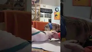 Untitled video