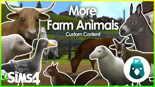 Farm Animals for Cottage Living