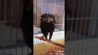 VID 20190805 WA0022