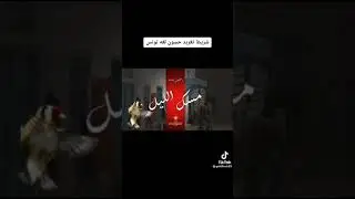 Saka kuşunun sesi  Amatör leri Eyitecek ses