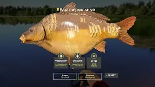 рр4 /оз. Янтарное / Карп ТРОФЕЙ / Русская Рыбалка 4
