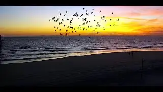 Jacksonville Beach Pier Live Cam / South View / By 911surfreport.com