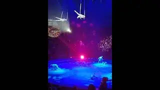 СТРОЙНЫЕ ДЕВУШКИ ВИЛЯЮТСЯ НА ВЕРЁВОЧКАХ