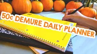 50¢ Demure 😁 Daily Planner