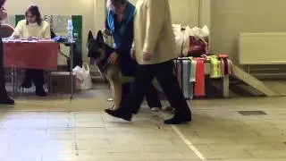 ВД Кайлас