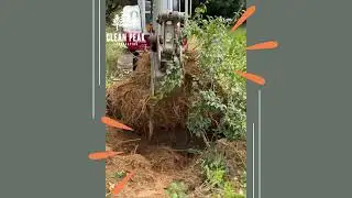 REMOVING A BIG OL' STUMP. Using an excavator to get rid of large stumps.